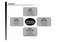 닌텐도 Wii 마케팅전략-6
