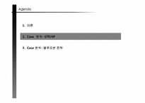 닌텐도 Wii 마케팅전략-12