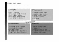 닌텐도 Wii 마케팅전략-18