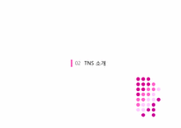 [경영학] 한국 조사시장의 뉴리더 TNS 코리아 과학적마케팅-9