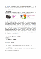 [마케팅] 락앤락의 성공스토리와 미래-17