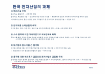 한국 전자산업 -삼성전자 사례-12