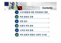[소비자행동론]12장 하위 문화의 영향과 연령집단-2