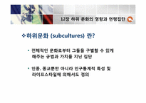[소비자행동론]12장 하위 문화의 영향과 연령집단-3