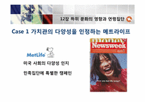 [소비자행동론]12장 하위 문화의 영향과 연령집단-4