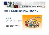 [소비자행동론]12장 하위 문화의 영향과 연령집단-7