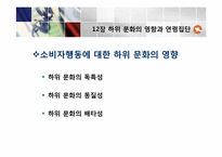 [소비자행동론]12장 하위 문화의 영향과 연령집단-9