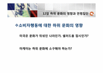 [소비자행동론]12장 하위 문화의 영향과 연령집단-10