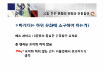 [소비자행동론]12장 하위 문화의 영향과 연령집단-14