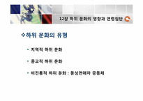 [소비자행동론]12장 하위 문화의 영향과 연령집단-16