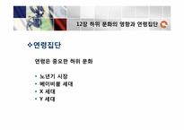 [소비자행동론]12장 하위 문화의 영향과 연령집단-17