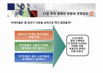 [소비자행동론]12장 하위 문화의 영향과 연령집단-20