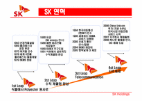 [국제경영] SK 해외진출 사례-2
