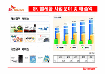[국제경영] SK 해외진출 사례-15