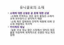 [마케팅] 유니클로의 성공요인-9