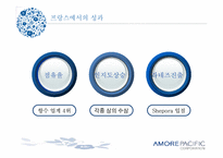 [국제경영] 아모레퍼시픽의 글로벌정책과 성공사례 분석-16