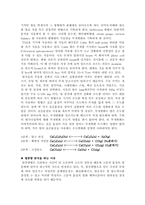 폐기물 열중량 실험-6
