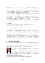 [교육행정] 제이미 에스칼란테 Jaime Escalante의 지도성 분석-5