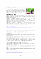 초국적기업 레포트-9