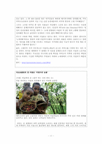 초국적기업 레포트-11