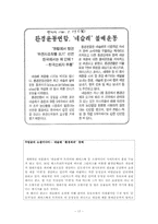 초국적기업 레포트-17