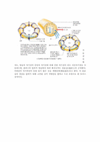핵융합에너지 레포트-5