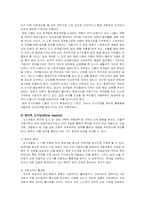 [도시행정론] 신도시개발의 찬성-6