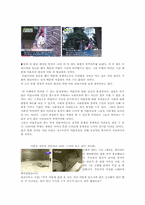 미혼모 현황 문제점, 대책-7