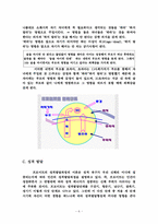프로이드의 정신분석적 상담이론-6