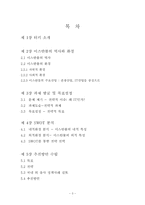 이스탄불 도시 문제점 분석 및 해결에 관한 보고서-3