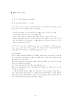이스탄불 도시 문제점 분석 및 해결에 관한 보고서-5