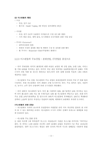 이스탄불 도시 문제점 분석 및 해결에 관한 보고서-9