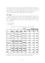 이스탄불 도시 문제점 분석 및 해결에 관한 보고서-11