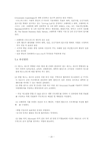 이스탄불 도시 문제점 분석 및 해결에 관한 보고서-20