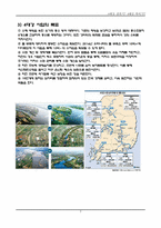 4대강 사업에 대해서-3