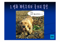 [성담론] 유미주의와 몽고반점 분석-5