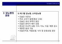 당뇨병 치료와 예방-4