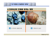 도시화, 공업화에 따른 대기오염과 그 해결방안-19