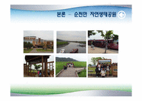 [관광 지리 자원론] 순천 중심의 생태관광 자원-9