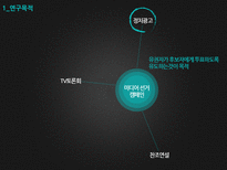 우리나라 정치광고 연구의 동향 및 과제-4
