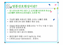 [사회학] 명품선호현상-3