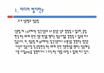 미디어 겸영 레포트-3