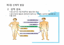 [인간행동] 청소년기-3
