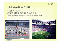 월드컵 스폰서십 광고와 매복광고 내용분석-4