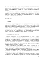 광고 표현의 비교 문화적 접근을 통한 바이럴 광고 분석-3