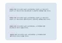 인터넷 검색광고의 유형이 광고효과에 미치는 영향에 관한 연구-10
