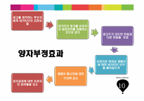 네거티브 정치광고의 유형과 광고 회의주의가 스폰서 후보 평가 및 투표의도에 미치는 영향-11