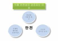 식품 안정성 레포트-4