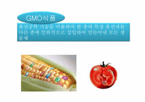 식품 안정성 레포트-12