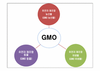 식품 안정성 레포트-13